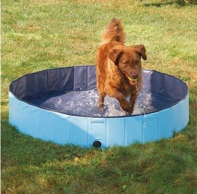 Cool Eco-Friendly PVC Pet Bath Tub, Custom Portable Pet Swimming Pool
